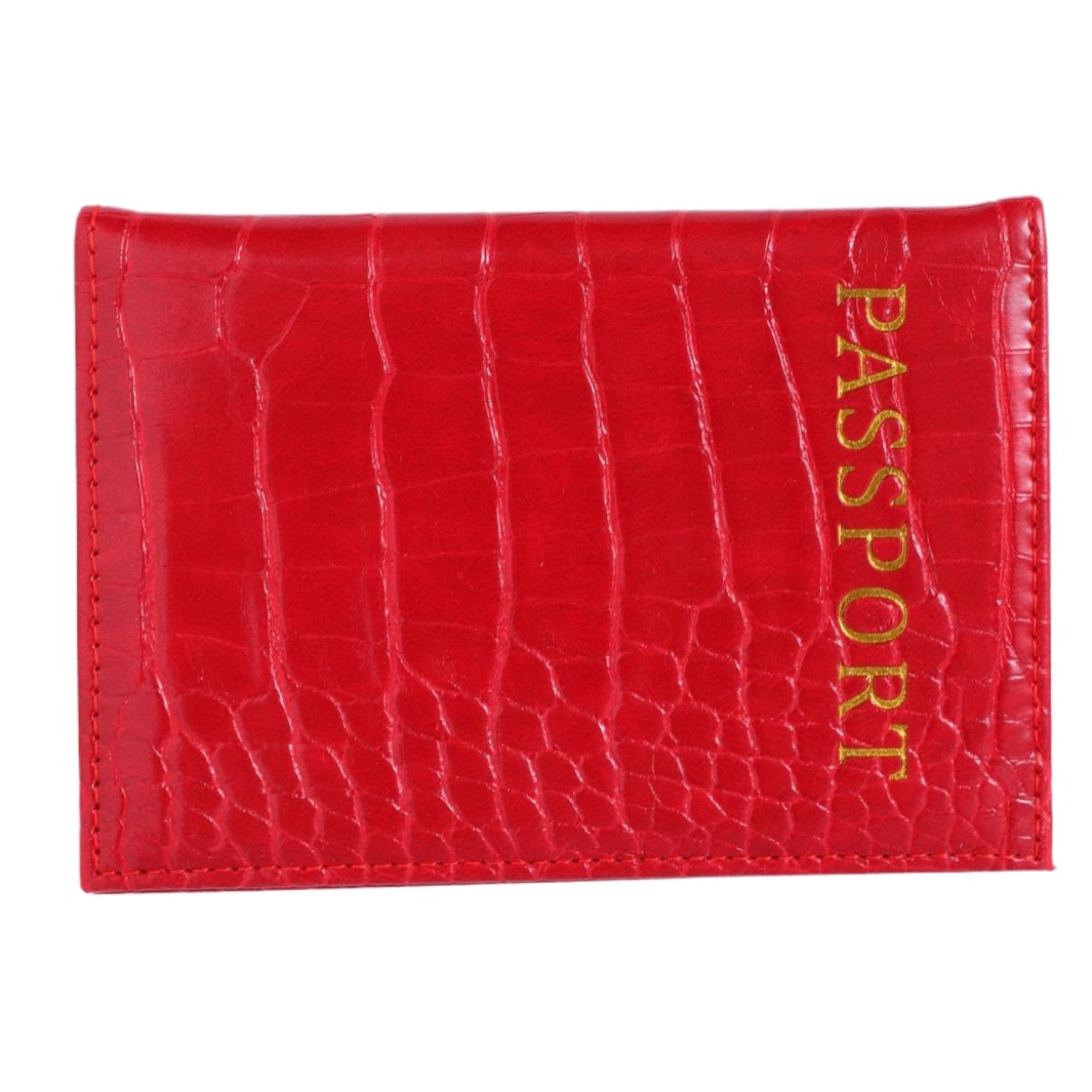 Модный чехол для паспорта с кр – обзор и цена Travel Accessories Plane