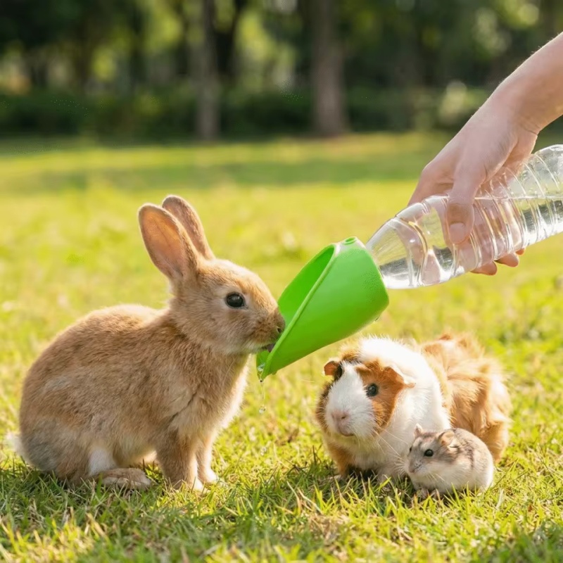 Портативная бутылка для воды д – обзор и цена Water Bottle Collapsible
